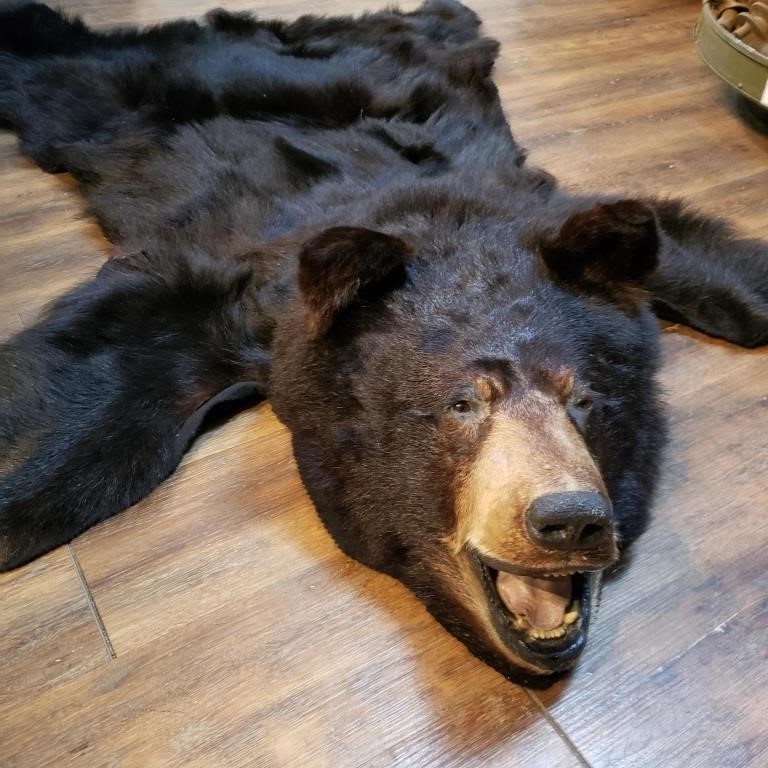 ANTIQUE BEAR SKIN RUG