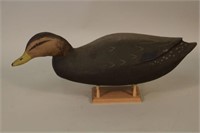 Black Duck Drake Decoy by E.R. Braden, Signed and