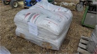 Sunflower Seed 20KG Bags