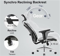 SIHOO M57 Office Chair with Lumbar Support