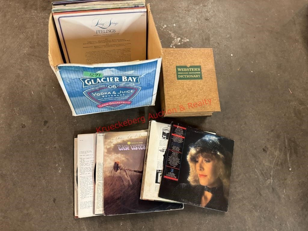 Assorted Vinyl Records & Dictionary