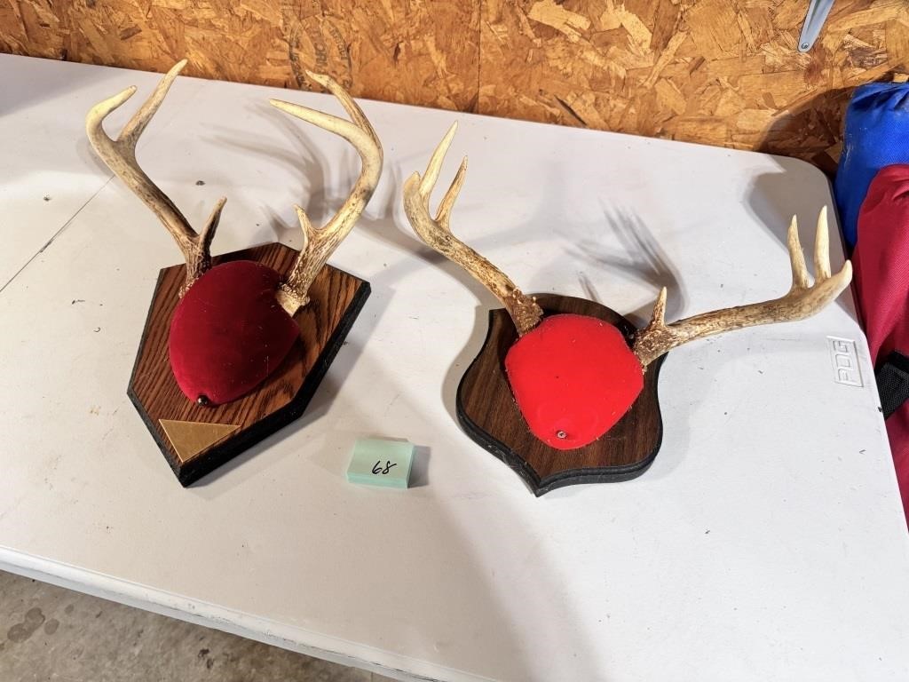 2 Buck Antler Mounts