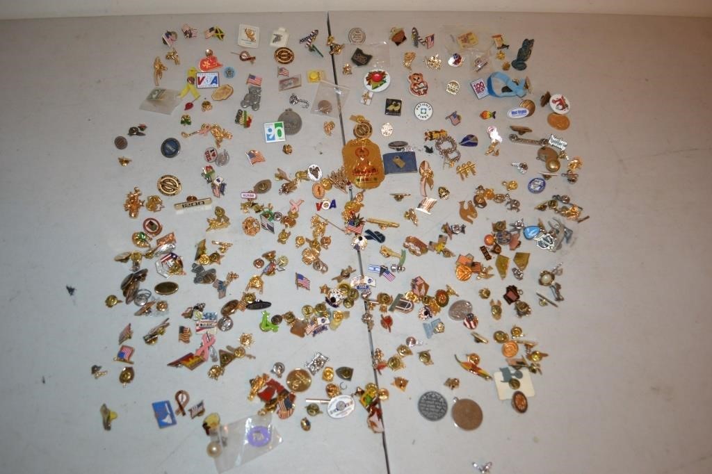 Large Pin Collection
