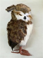 Hoot Owl Stuffed Animal (Not Taxidermied)