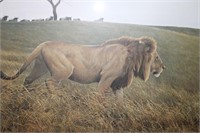 Lion & Wildebeast Art /Robert Bateman L/E  678/950