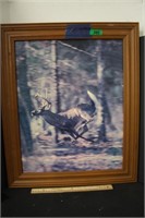 Running Buck Framed Nature Print