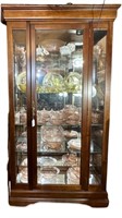 Modern Lighted Glass Shelf Curio Cabinet