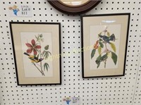 TWO FRAMED BIRD AND FLOWER PRINTS