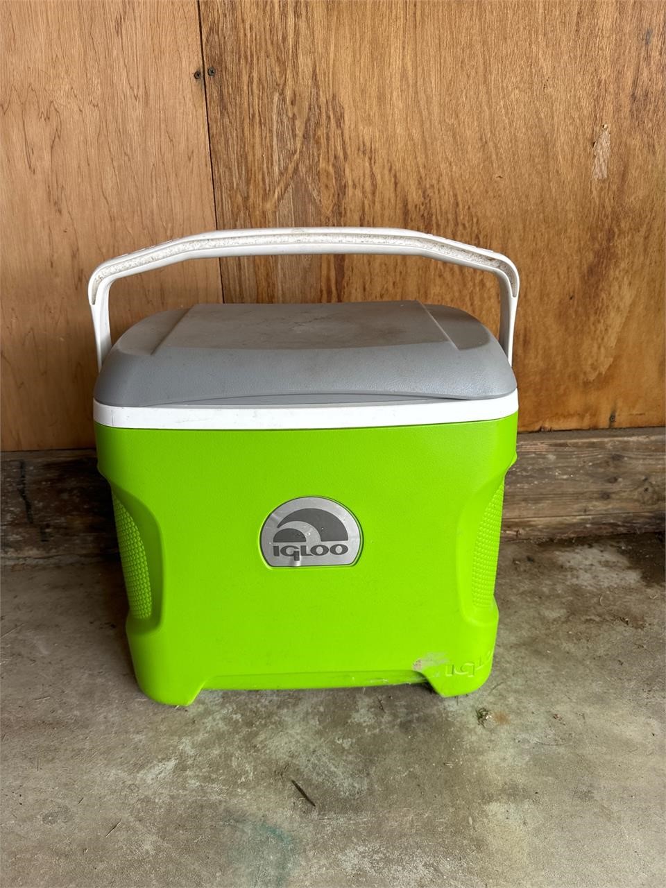 Igloo Cooler