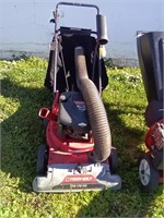 Yard vacuum