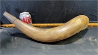 Large horn