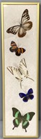 Entomotaxy Butterfly Art Pins