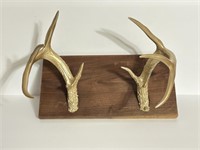 Gold painted deer horns