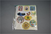 (11) Girl Scout calendar patches
