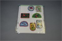 (28) Girl Scout Reading Patches
