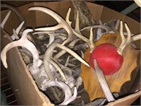 Box of Antlers - some mounts