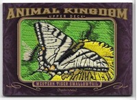Animal Kingdom Patch Western Tiger Swallowtail