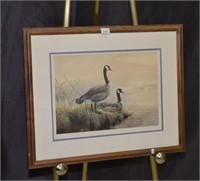 Lithograph of Canada Geese