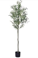 $50 5ft Artificial Olive Tree