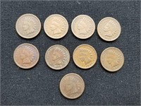 9 Assorted Indian Head Pennies