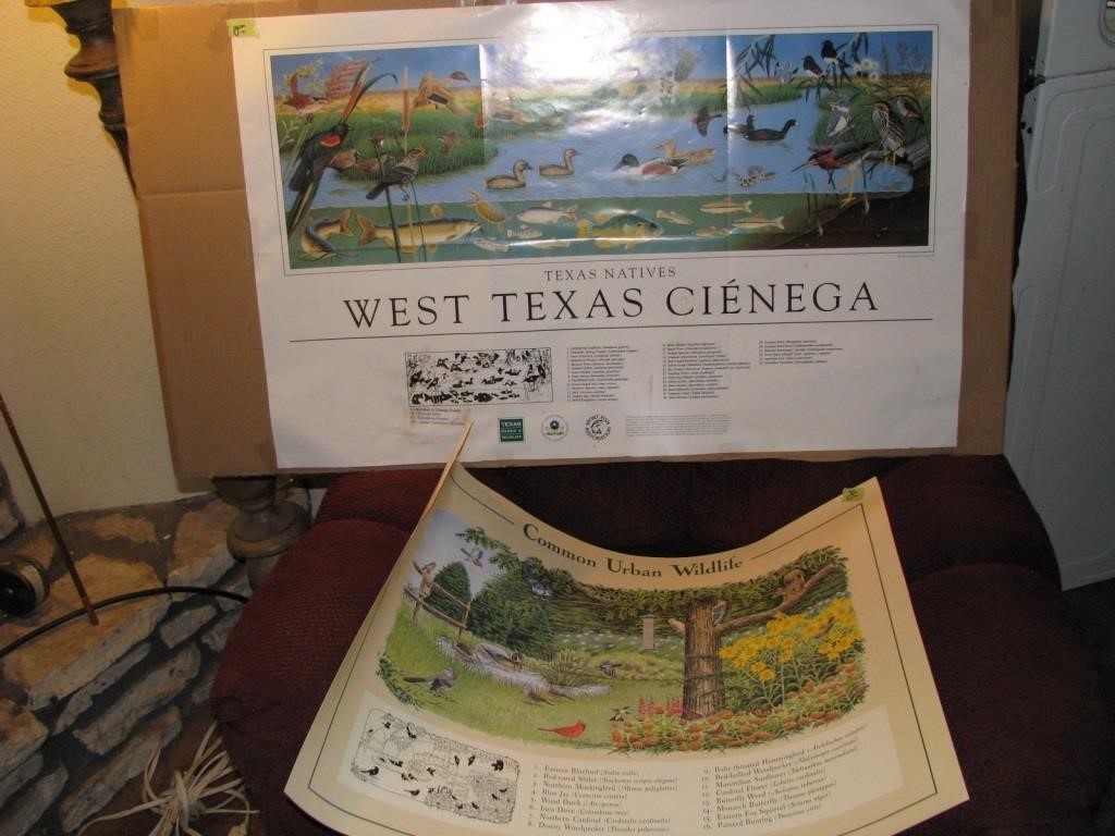 Texas Wildlife posters