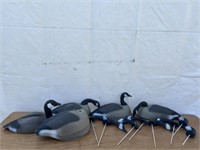 Goose Decoys