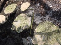 Faux Stepping Stones