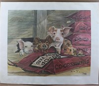 J Lynch 82' Co-Op Swine Feed Print Signed
