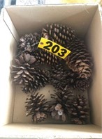 Crafting pine cones NO SHIPPING