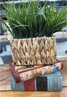 Lot of Home Decor Items. 2 Book Boxes and Grass