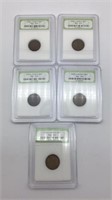 Early Lincoln Cent lot of 5