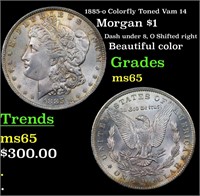 1885-o Colorfully Toned Vam 14 Morgan $1 Grades GE