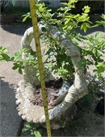 Cement Basket Flower Pot