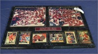Det Red Wings 97&98 Back to Back Champions Plaque