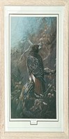 Gamini Ratnavira's "Red-tailed Hawk" Print