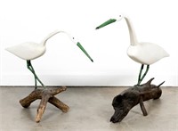 Pair of Polychrome Egret Standing Birds