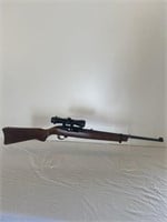 Ruger Model 10/22 Carbine .22LR with Simmons
