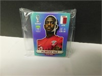 2022 Panini WC Stickers - 110 Different