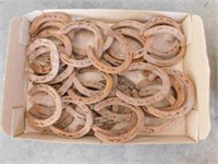 Box of horse shoes