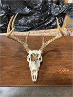 European mount handpainted