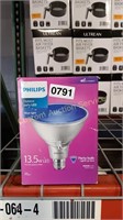 PHILLIPS OUTDOOR PARTY LED