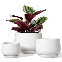 WFF8620  BEMAY Ceramic Plant Pots, 4.1+5.1+6.5 inc