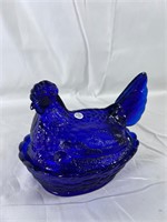 Cobalt, blue hen on nest