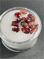 7 CTS Garnet Gemstones