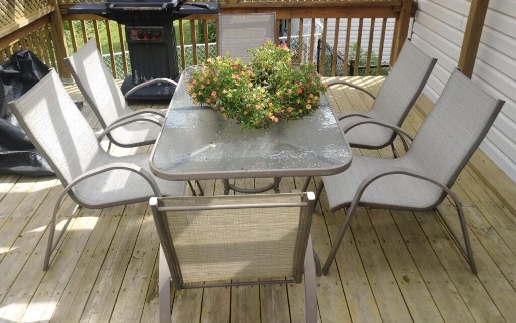 Patio Set Table & Six Chairs - Plant Not Included