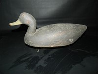 Duck Decoy