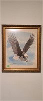 American Bald Eagle Print Signed By Gene Gray '70