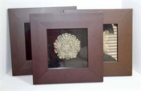 Architectural Style Plaques in Shadow Box