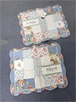 2 Quilted Pillow Shams Pillow & Blanket