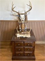 Display Table and Deer Antler Decor